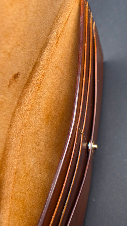 The Aurelia- Americana